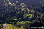 cevennes, printemps 2026,